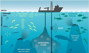 Deep Dive: Deep Sea Mining