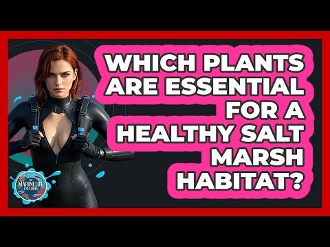 Which Plants Are Essential For A Healthy Salt Marsh Habitat? - The Marine Life Explorer