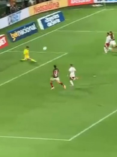 Ataque do Flamengo, Rochet Defende