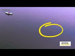 Greenville-based filmmakers capture possible evidence of "lake monster"