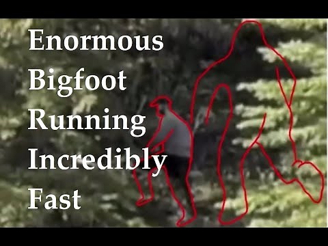 New Proof Bigfoot is REAL! 10 foot tall Sasquatch video