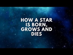 The Life Cycle of a Star