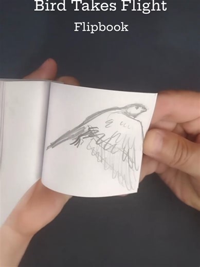 Bird takes Flight #flipbook #handdrawn #animation