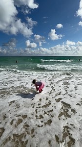 Beautiful kids are collecting seashells on the beach. | Naomi Life