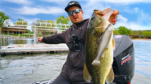 Flipping massive swimbaits under docks produces giant bass catch