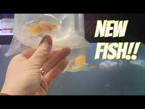 I Have The Best Wife In The World