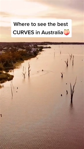 15K views · 78 reactions | Following the Murray River is one of the loveliest things to do, especially on a paddle boat ride as well. So much to see down here and the campgrounds are fabulous and loads are free! Big Bend, SA #MurrayRiverCamping #BigBendSA #Camping #FreeCamping #PaddleBoat #TravelAustralia #VisitSouthAustralia | Camps Australia Wide | Facebook