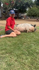 Meet Rolly- love her | Flag Animal Farm