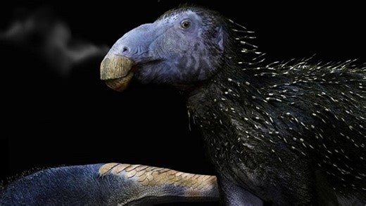 Scientists Find Dinosaur Covered in Never-Before-Seen Spikes