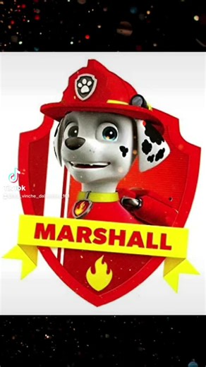 Paw Patrol Dogs in Real Life