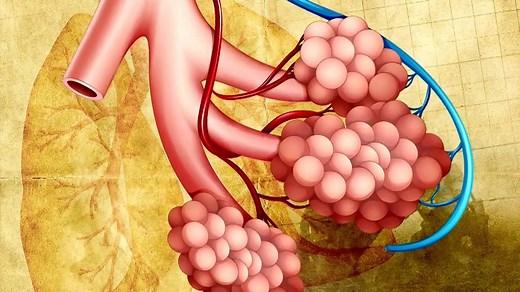 The Horrifying History of Gas Warfare | Britannica