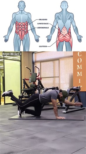 Core Lower Back & Glutes Exercise #deadbug #fitness #viral #back #glutes #stretch #hiit #exrcise