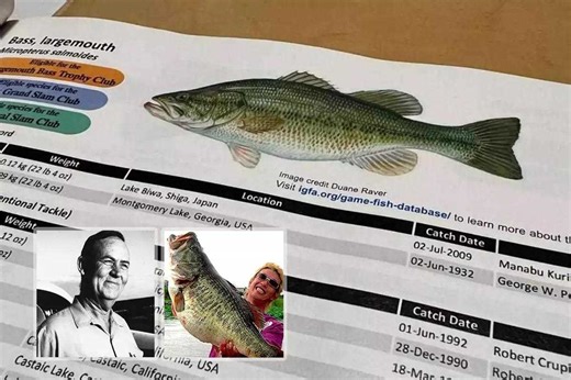The Interesting Story Behind a New World Record Bass - Game & Fish