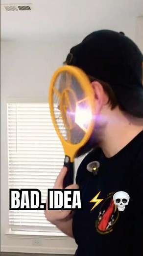 SHOCKED By The ELECTRIC Flyswatter⚡How Bad Is It?