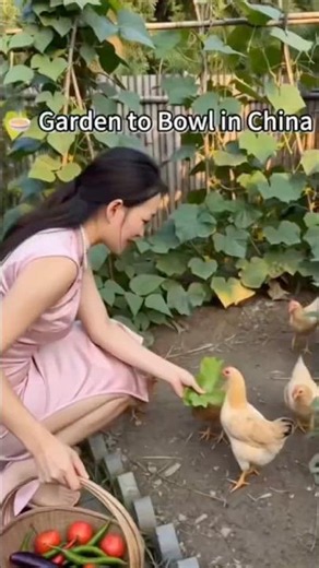 ✨My Peaceful Chinese Countryside Day: From Garden to Bowl 🍜 | Qipao Farm Life
