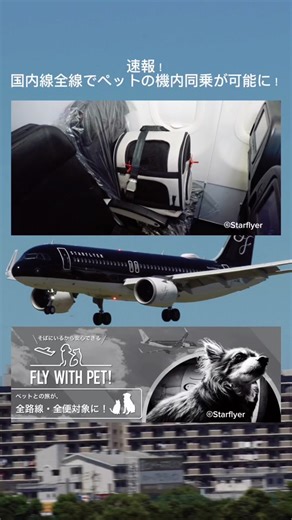 #スターフライヤー #starflyer #フライウィズペット #flywithpet #a320 #a320neo #a320ceo #airline #airport #airplane #pilot #tyofly #tyofly_a320 #tyofly_fukuoka #tyofly_starflyer