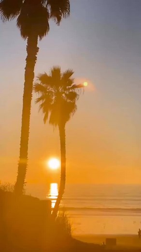 Fall flavors, fall adventures, summer weather—only in San Diego. 🍂☀️ Fall Travel | Fall Vacation | San Diego Fall | San Diego Season | San Diego Vacation | San Diego Travel | Visit San Diego | Visit San Diego