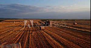Agricultural farm tractor baler in action on a harvested wheat field