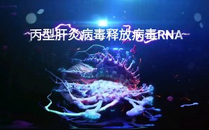 病毒的艺术性表现:丙型肝炎病毒-Newt Studios制作