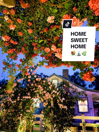 Creating Your Own Cottagecore Garden Escape