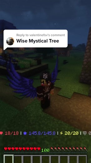 Ark Builder on TikTok