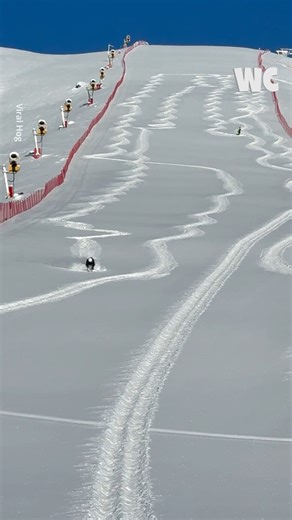 55K views · 161 reactions | Snow swimming | Watercooler | Facebook