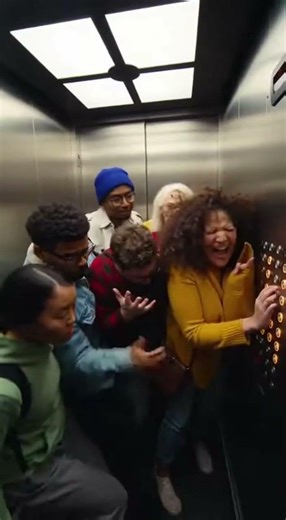 They are all my floor.