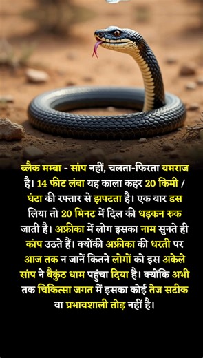 252K views · 1.3K reactions | Black Mamba — the deadliest shadow of Africa, faster than fear itself. ⚡ #BlackMamba #DeadlySnake #NaturePower #WildlifeFacts #FearFactor #AfricanBeast #VenomStrike | A Noble Indian | Facebook