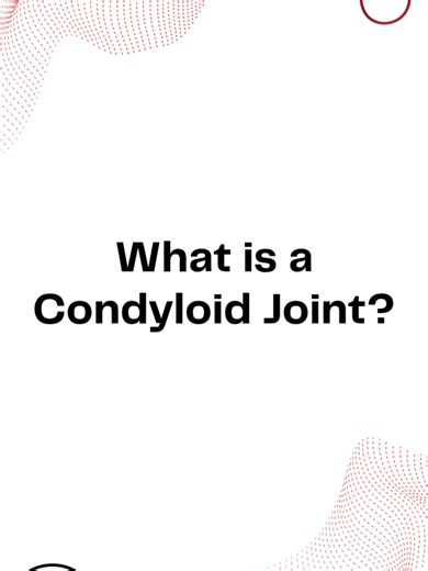 Exploring the Condyloid Joint in Anatomy