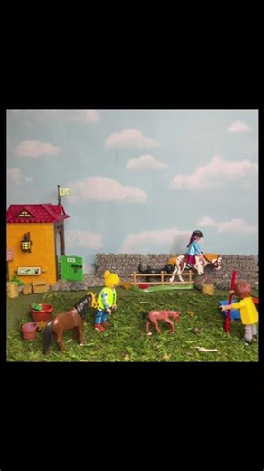 A Day at the Equestrian Center part 1. #click #toys #playmobil #wallysplaymobil #playmo #stopmotion