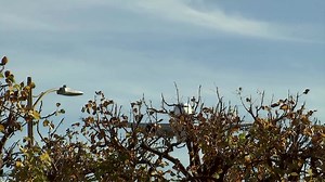 6.6K views · 76 reactions | The global airline industry is facing a summer squeeze, with travel demand expected to hit record levels, while aircraft deliveries drop sharply due to production problems at Boeing and Airbus https://reut.rs/3UasAB4 | Reuters | Facebook