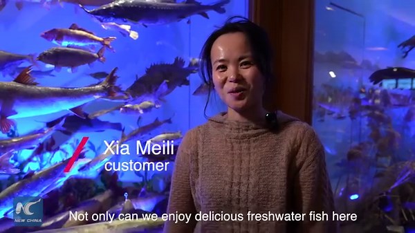 If you have a hankering for freshwater fish, this quaint village in Harbin City, NE China might be just the spot for you. Explore a unique culinary culture and delectable fish delights that make it the perfect spot for a weekend getaway. | China Xinhua Economy