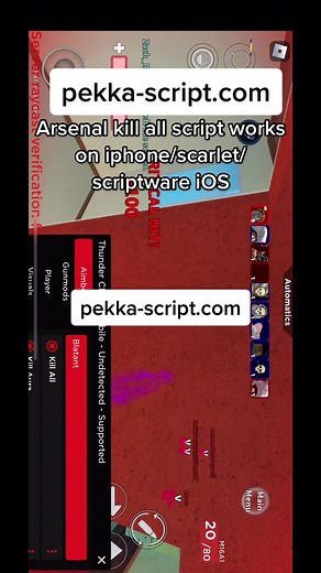 PekkaRobloxHacks (@pekka_robloxhacks)’s videos with original sound - PekkaRobloxHacks