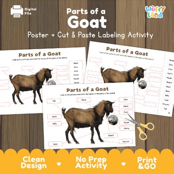Parts of a Goat Diagram & Labeling Activity | Farm Animal Anatomy Worksheets