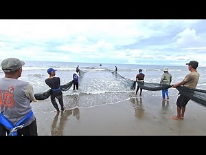The Most Amazing Shoreline Trawl Net Catching Fish With Nets