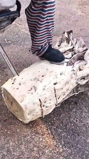 cutting and slicing thick wooden logs using a chainsaw for various woodworking and construction