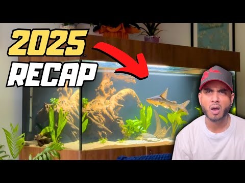 Wins, Losses and a Monster Tank | My 2025 Recap