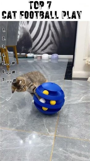 Top 7 Cat Football Plays ⚽🐱 #cats #rankingvideo