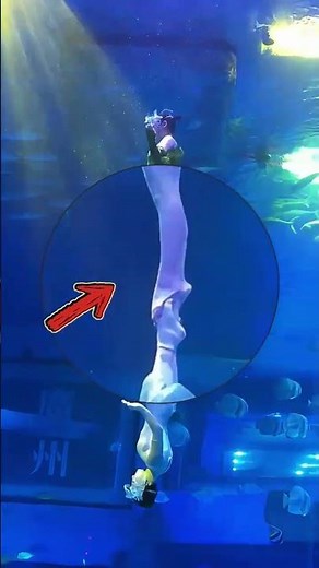 Dive into the mesmerizing Underwater Ballet