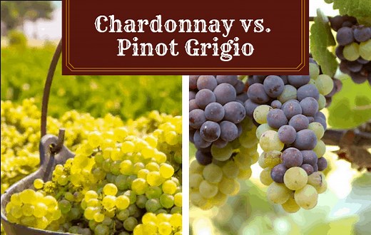 Chardonnay vs Pinot Grigio