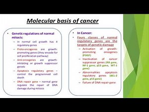 Biochemical Basis of Carcinogenesis 6naglaa