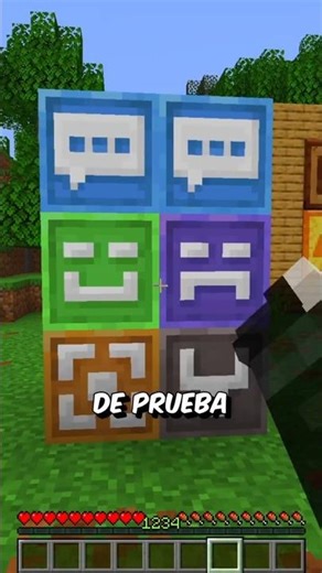 MINECRAFT'S SECRET BLOCKS 😱 ⛏