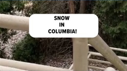 Snow falling in Columbia, SC