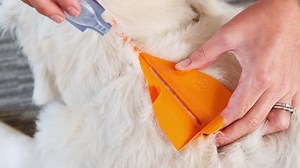 9.6K views · 27 reactions | Pest treatment for pets goes smoothly. https://www.thegrommet.com/combat-comb | Grommet | Facebook