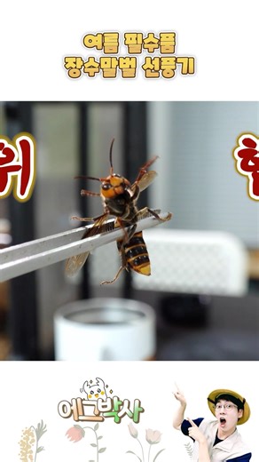 Portable giant hornet fan