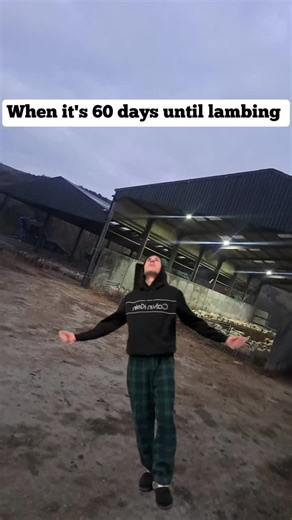 Understanding Lambing in British Agriculture