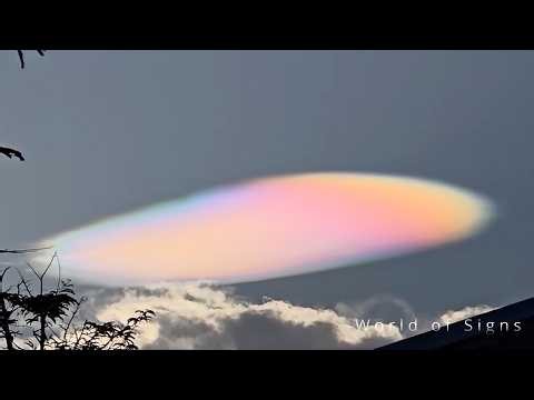 This Is the World Today. June 2026 Part.8