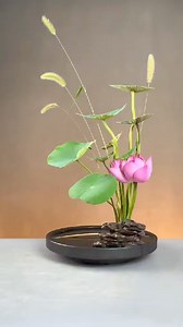 1.6K views · 56 reactions | Example of input + process + output : result is perfect #kayevals #highlightseveryonefollowers2024 #everyonefollowers #followerseveryone #reelsviralfb #TeamHopia | Karen Valle Balot | Facebook