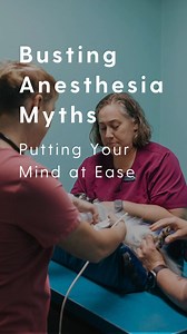 Anesthesia allows veterinarians to perform important diagnostic and surgical procedures on pets, such as dental cleanings or spaying/neutering. We wanted to bust a few common myths about anesthesia, so you can feel more at ease. Questions? Please call us to discuss! For more on our processes and procedures with anesthesia, click here: https://www.happyhealthypets.com/pet-resources/anesthesia-in-pets?utm_source=facebook &utm_medium=social&utm_campaign=feb-22-mcp&utm_content=hhp-anesthesia #Dental