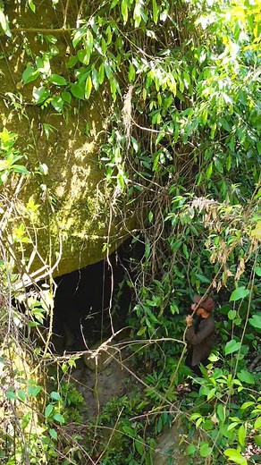Membuat shelter di dalam gua dan mencari makanan di tengah hutan🔥 | indo1team